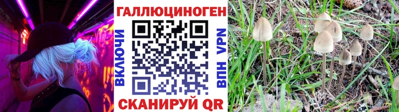 даркнет телеграм  Староминская  Галлюциногенные грибы ЛСД 