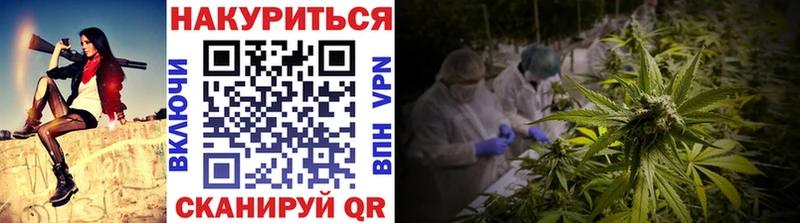 Шишки марихуана план  дарк нет телеграм  Староминская 